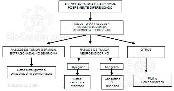  Principios generales del cáncer › Cáncer de origen desconocido › 3. Orientación Diagnóstica
. Metástasis hepáticas