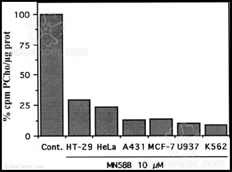 En este gráfico se describe la inhibición de la producción de PCho, mediante MN58B en diferentes líneas celulares (Hernandez-Alcoceda y col., 1999)