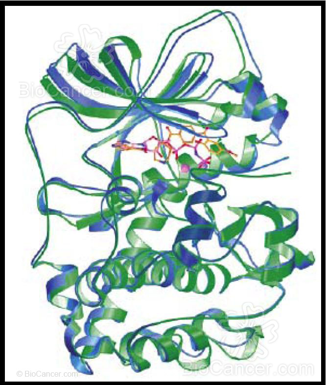 Estructura de rayos X del complejo formado entre el derivado 33 y PKA (proteína quinasa A)