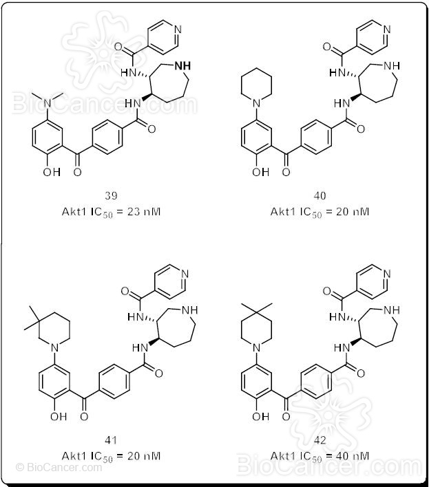 Estructura química de inhibidores azepánicos
