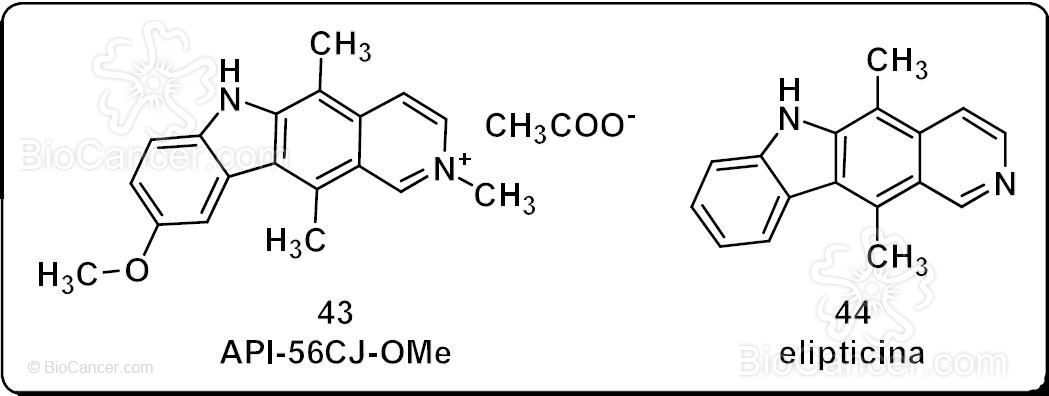 Estructuras químicas del inhibidor API-56CJ-OMe y del esqueleto básico de este derivado: la elipticina