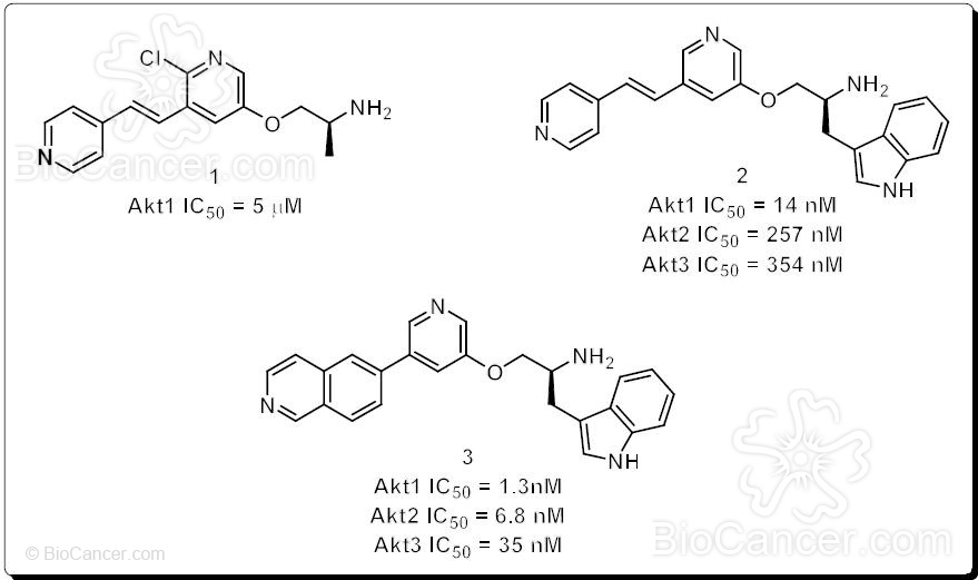 Estructuras químicas de inhibidores piridínicos de Akt1