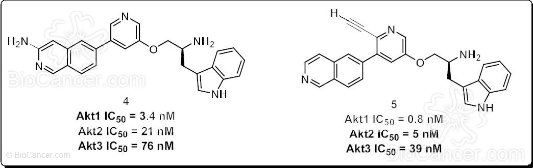 Estructura química de inhibidores funcionalizados sobre los anillos isoquinolínico (4) y piridínico (5)
